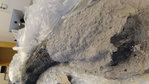 DSC02713.JPG